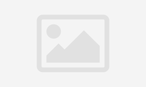 Bachillerato Premium Regular